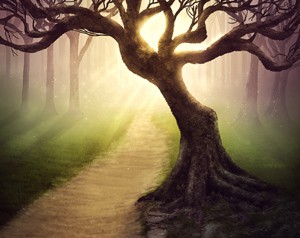 Dollarphotoclub_79255911_web