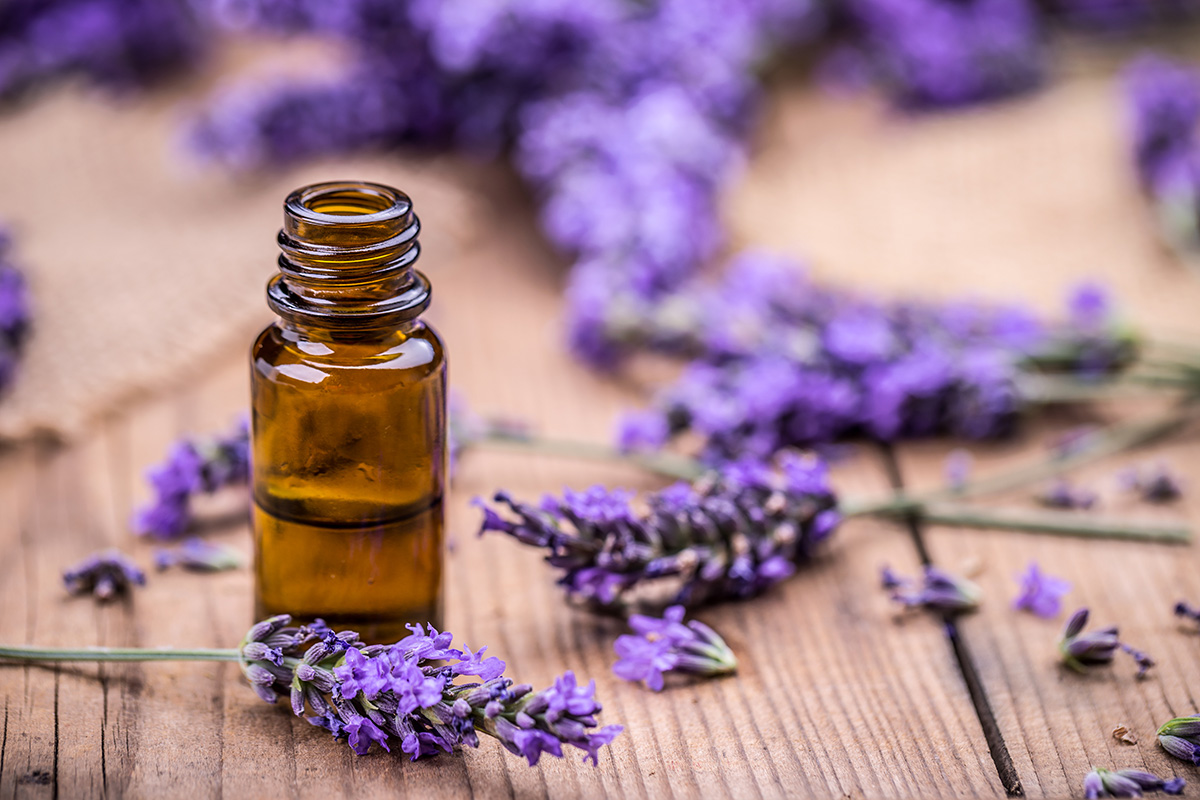 lavender essential oils